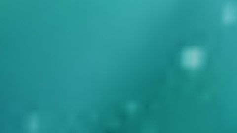 Universal Script π