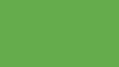 Universal Script π