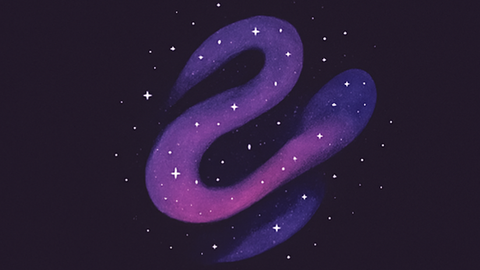 Universal Script π