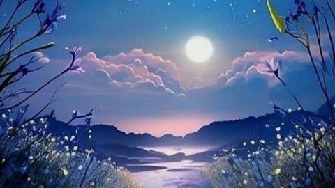 Universal Script рџ њ Iaiuzzz вђ Roblox Scripts Scriptblox