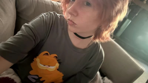 Universal Script 📌 | DonHub SAB — Roblox Scripts | ScriptBlox