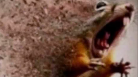 [GAME REWORK ⚗️] Planks 🛡️ | Z3US — Roblox Scripts | ScriptBlox