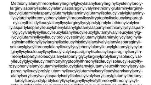 Universal Script 📌