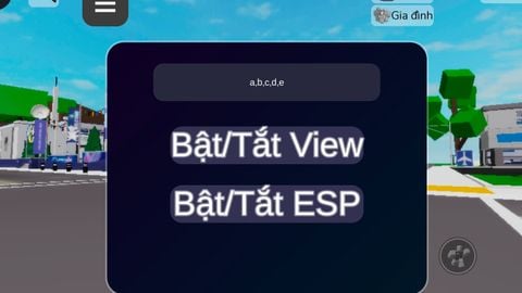 Universal Script π