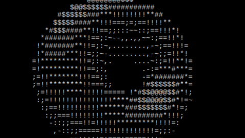 Donut - Universal script preview