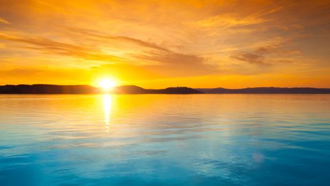 fly and 100 functions - Universal script preview