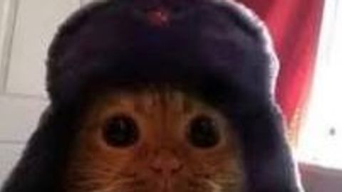 Script Decompiler READ DESC - Universal script preview