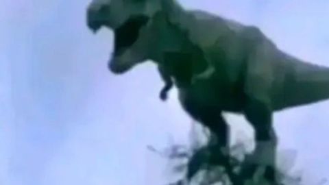 WRD - Universal script preview