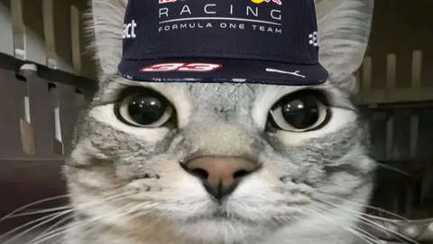 fly esp cmeralock - Universal script preview