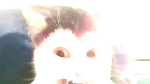 K0m555l0l2 Gui - Universal script preview