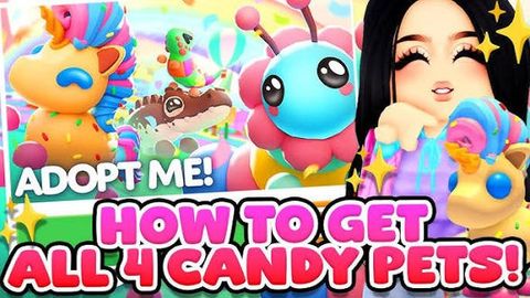 dhh - Universal script preview