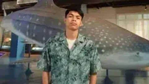 dwJVhddgDOGysjH - Universal script preview