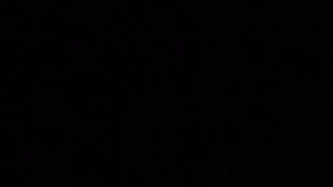 Fisch Auto Collect Clover - Universal script preview