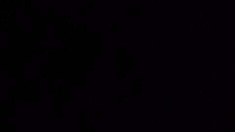 Fisch Auto Collect Clover - Universal script preview