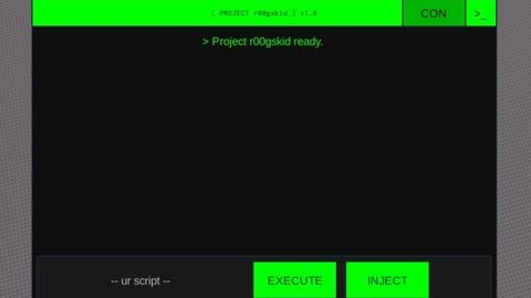 Project r00gskid - Universal script preview