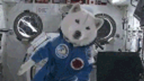 MACRO HUB BEST - Universal script preview