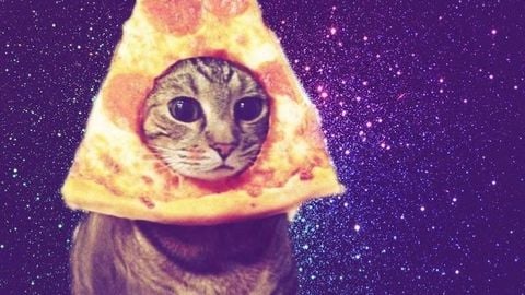 SunAI Chatbot - Universal script preview