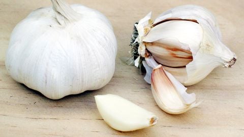 Admin mod detector - Universal script preview