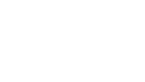 DpdIORdOlqZYuII - Universal script preview