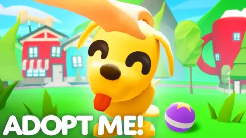 OP SCRIPT - Universal script preview