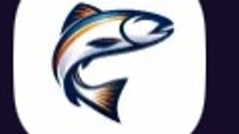 Salfury hub W scripts for W games - Universal script preview