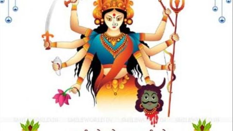 BOBBY V1 - Universal script preview