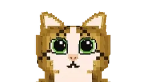 dsad - Universal script preview