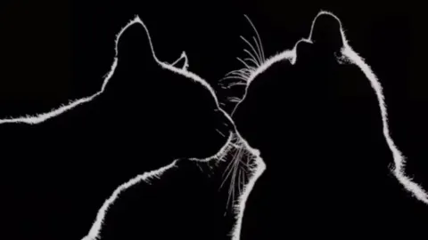 vc disconnect all source code - Universal script preview