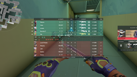 adad213 - Universal script preview