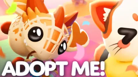 asdwdsadf - Universal script preview