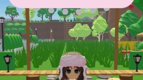 ascdw - Universal script preview