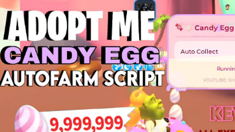 sadasdwqe - Universal script preview