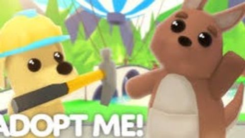 asdwqq - Universal script preview