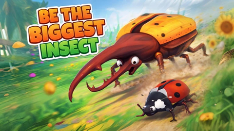 ReHub - Universal script preview