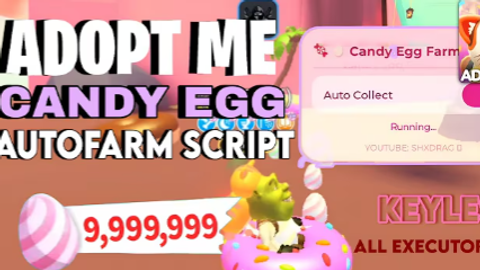 asdasd - Universal script preview