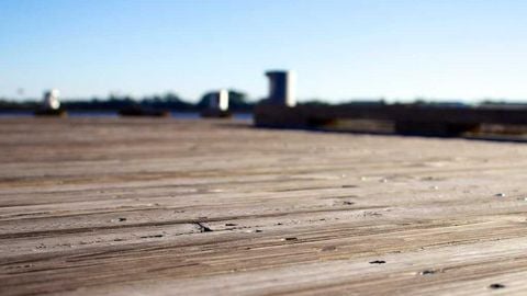 koneeeisthebest - Universal script preview