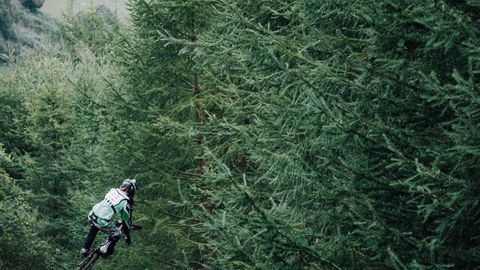 koneeeisthebest - Universal script preview