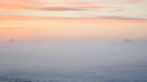 fff and rrr - Universal script preview