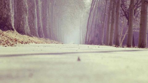 fff and rrr - Universal script preview