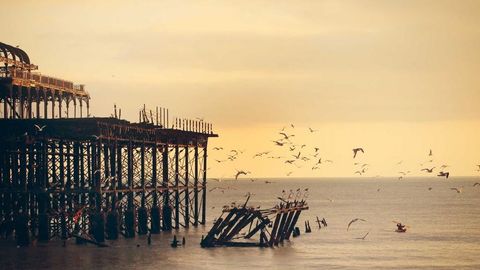 fff and rrr - Universal script preview