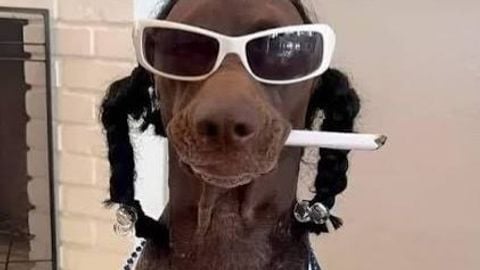 Simple FPS Desync - Universal script preview