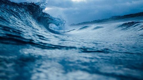 sadw - Universal script preview