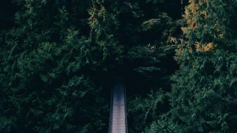 sadw - Universal script preview