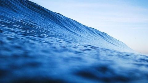 sadw - Universal script preview