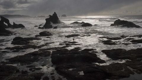 sadw - Universal script preview