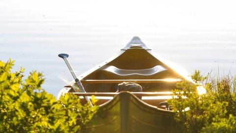 sadw - Universal script preview