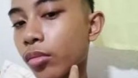 sdawd - Universal script preview