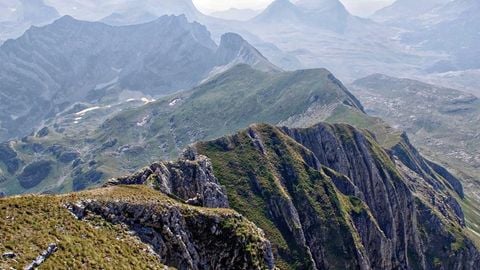 adw - Universal script preview