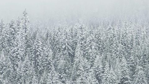 MMI2 KEYLESS OP - Universal script preview