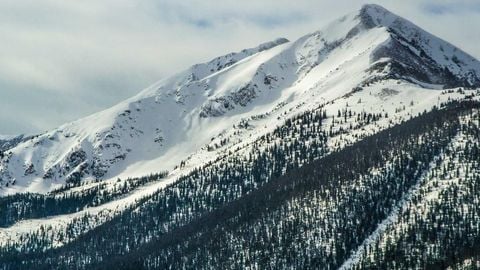 MMI2 KEYLESS OP - Universal script preview